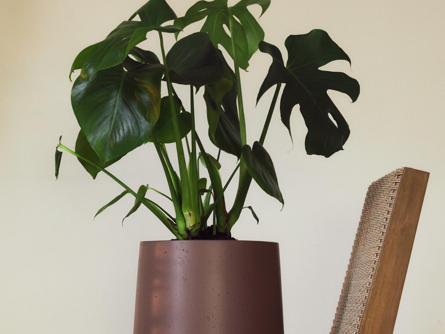 Elegante Calun Kollektion von Kave Home: stilvolle Möbel mit modernem Design und warmen Holztönen.