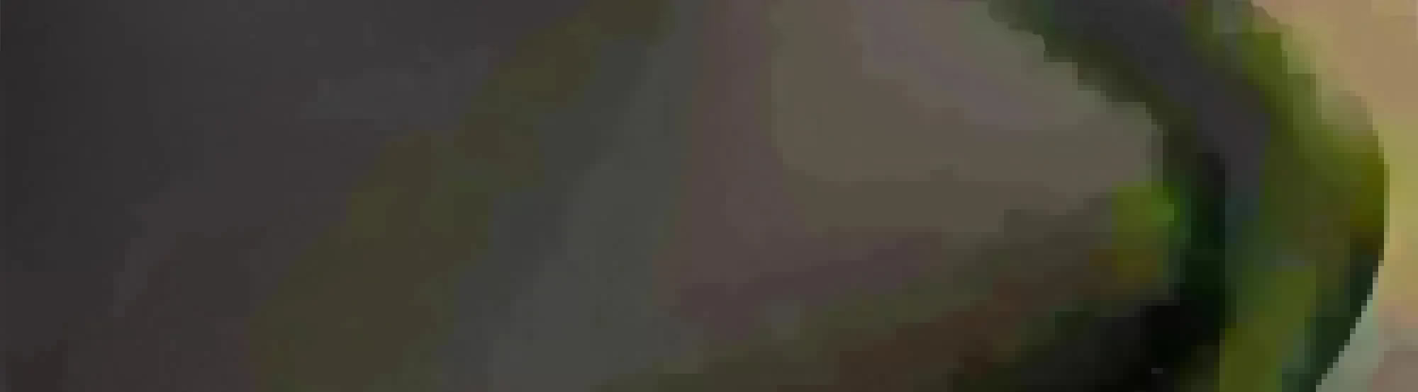 Entdecke die Zeno Stühle von Venture Home: stilvolles Design, hochwertige Verarbeitung und optimaler Komfort für dein Zuhause.