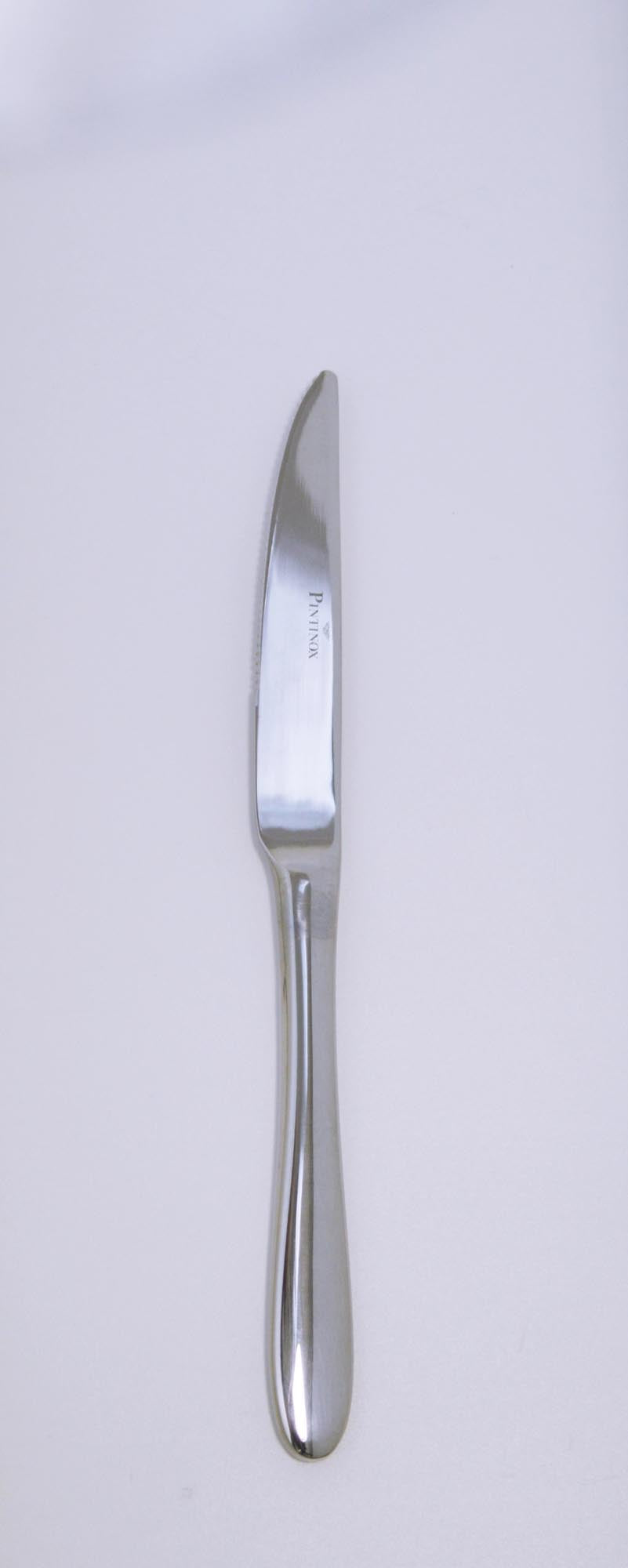 Elegante Ritz Steakmesser von Pintinox: 22,8 cm Klinge, 18/10 Edelstahl, präzise, langlebig, ideal für Steakliebhaber.