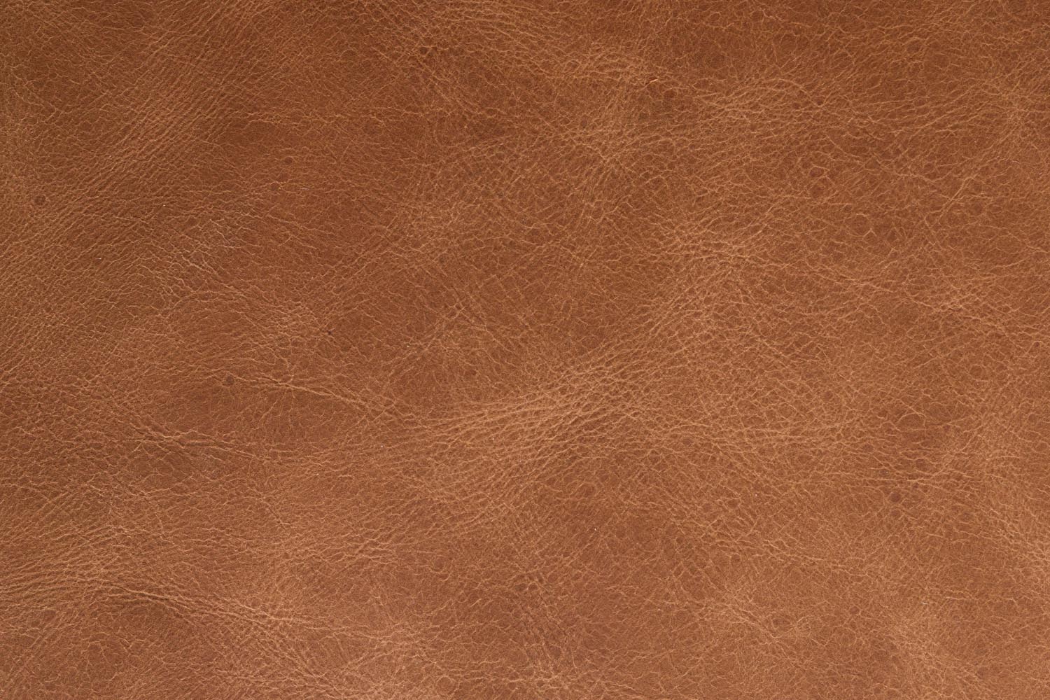 Das Sofa Douglas von Dutchbone bietet elegantes Design und hohen Komfort, perfekt für zeitgemässe Wohnräume.