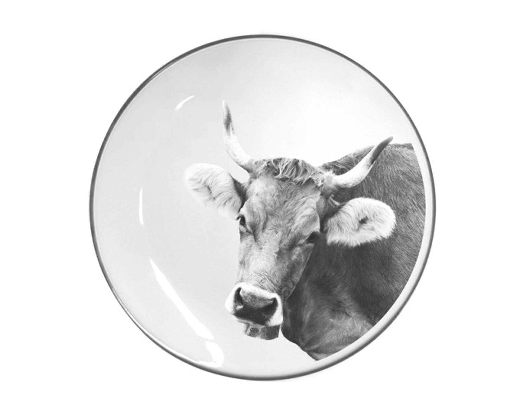 Entdecken Sie die flachen STEINLIN Teller "Kuh" aus robustem Porzellan (ø 21 cm) – ideal für Hauptgerichte, Salate und Desserts. Perfekt für Tierliebhaber!
