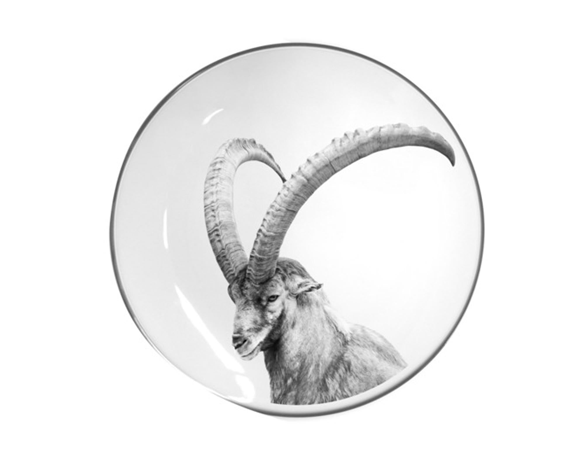 Entdecken Sie den flachen STEINLIN Teller Steinbock (ø 21 cm) aus hochwertigem Porzellan. Ideal für stilvolle Tischdekoration und exquisite Mahlzeiten.