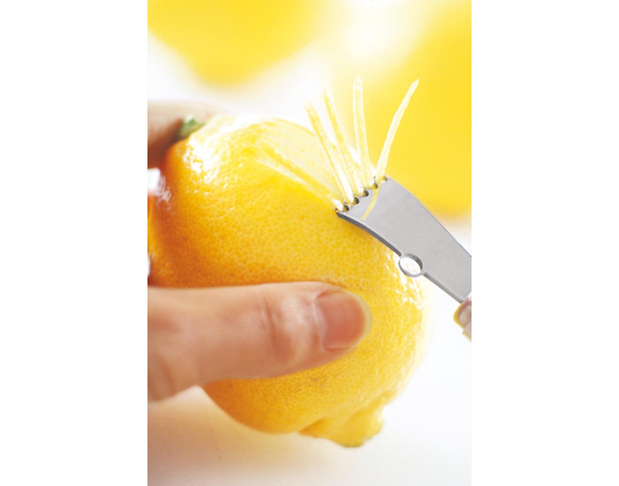 RÖSLE Fadenschneider 16 cm: Präzises Schneiden von Zitrusfäden, aus Edelstahl, ergonomisch, spülmaschinenfest, kompakt.