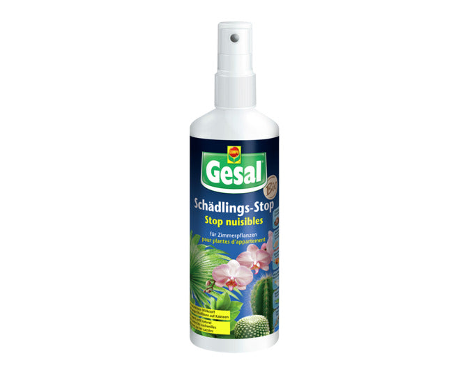 GESAL Schädlingsstop Zimmerpflanzen 250 ml in präsentiert im Onlineshop von KAQTU Design AG. Insektenabwehr ist von GESAL