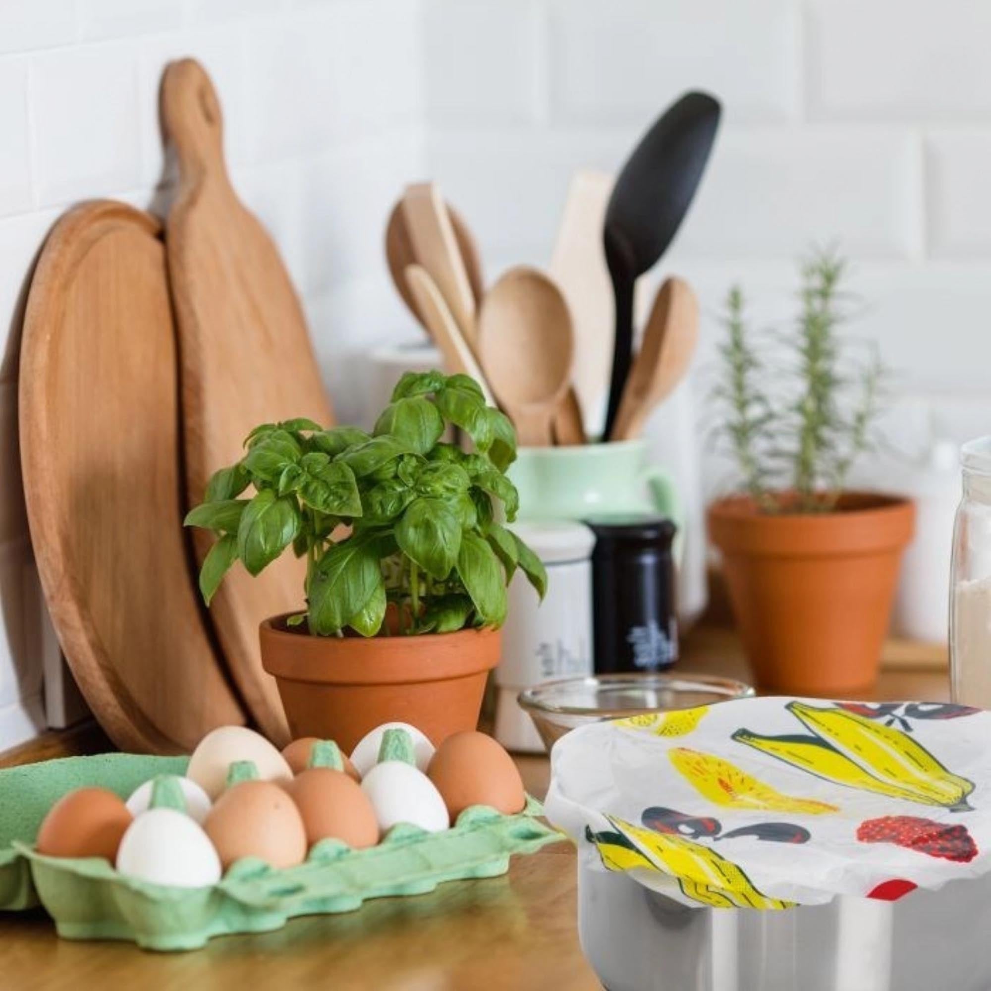 Praktisches 5er Set Topfhauben von Westmark, ideal für Schüsseln und Töpfe von 9-25 cm, hält Speisen frisch und ist wiederverwendbar.