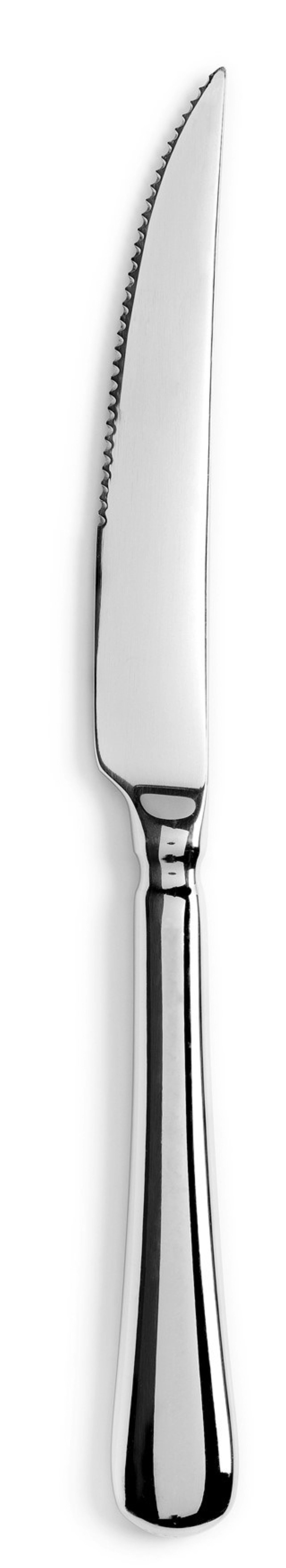 Elegantes Steakmesser aus glänzendem Edelstahl von Revol, ideal für Steakliebhaber, vereint scharfe Klinge und stilvolles Design.
