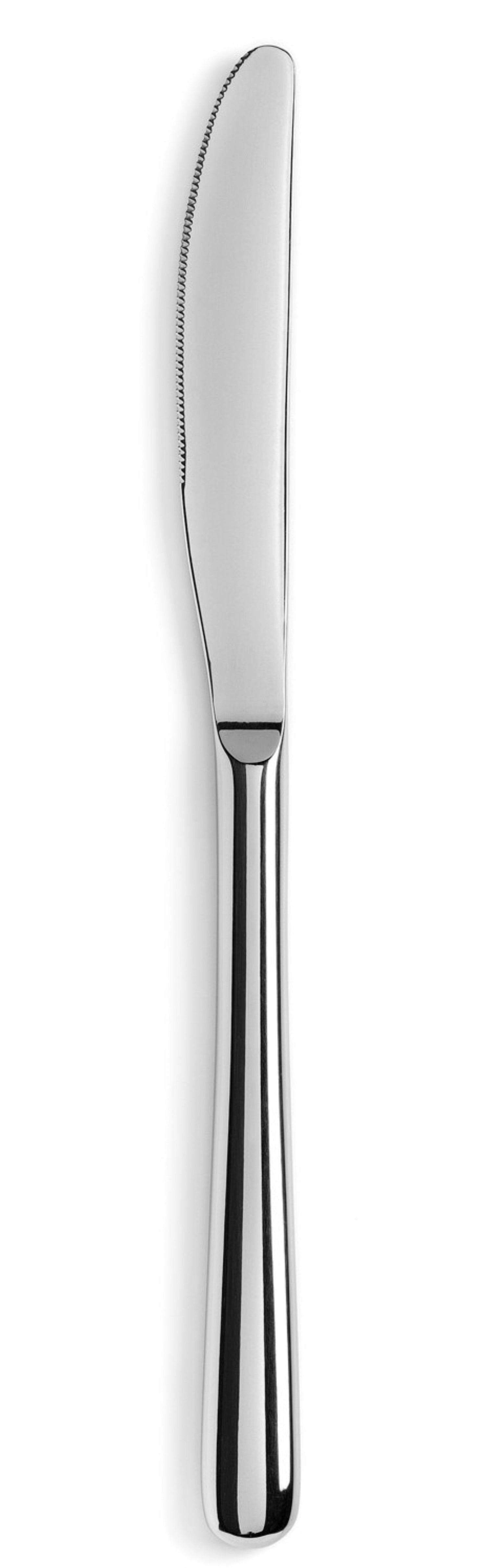 Entdecken Sie das elegante Courchevel Dessertmesser von Revol aus glänzendem Edelstahl. Hochwertig, langlebig und perfekt für Desserts!