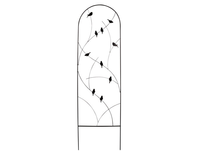 Eleganter Bamboo White Coupe Teller 28.1cm: robustes Porzellan, kratzfest, mikrowellengeeignet, zeitloses Design, ideal für Suppen & Pasta.