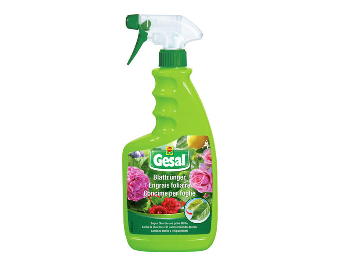 GESAL Blattdünger 750 ml in präsentiert im Onlineshop von KAQTU Design AG. Gartenpflege ist von GESAL