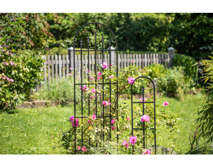 Entdecken Sie das WINDHAGER Schmied-Rank-Gitter (61x203x1.6 cm) – die ideale Rankhilfe für Ihren Garten oder Balkon. Robuste Qualität und vielseitige Einsatzmöglichkeiten!