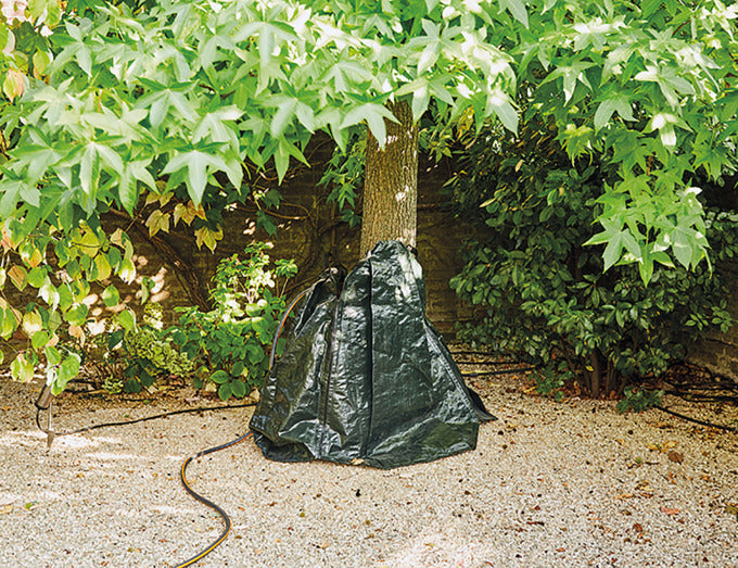 Der SIENA GARDEN Bewässerungssack 75 l sorgt für eine gleichmäßige und nachhaltige Pflanzenbewässerung. Robustes Material und einfache Handhabung garantieren optimale Ergebnisse.