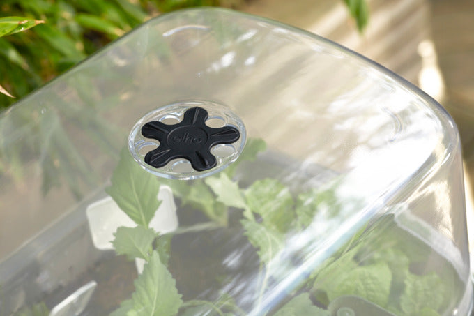 Der ELHO Anzuchttisch Noa living schwarz ist die perfekte Lösung für Ihren Küchengarten. Mit integriertem Wassersystem und praktischem Zubehör bietet er optimalen Komfort für Ihre Pflanzen.