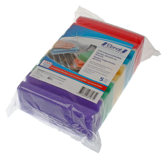 EBNAT Scheuerschwamm 5 Stück in präsentiert im Onlineshop von KAQTU Design AG. Haushaltshilfen ist von EBNAT