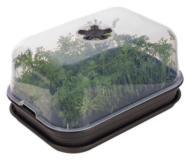 ELHO Anzuchtset M living black in  präsentiert im Onlineshop von KAQTU Design AG. Gartenutensilien ist von ELHO