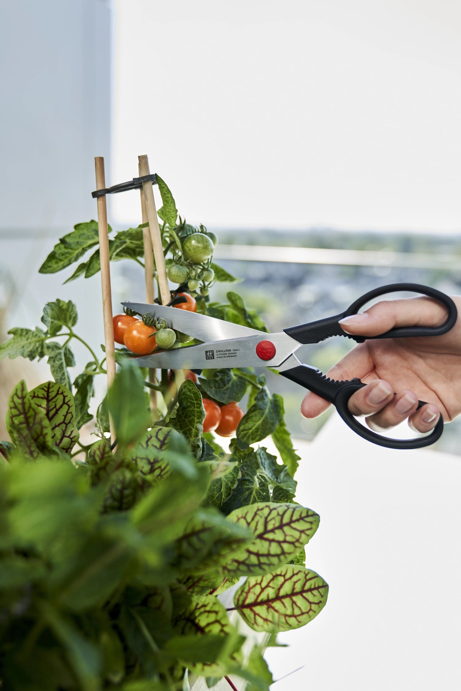 Praktische Twin L Vielzweckschere von Zwilling Kitchen, 230mm, perfekt für präzises Schneiden in der Küche und im Haushalt.