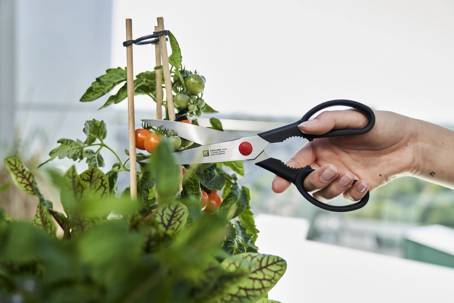 Vielseitige Twin L Schere von Zwilling Kitchen, 230mm, ideal für präzise Schneidarbeiten in Küche und Haushalt.