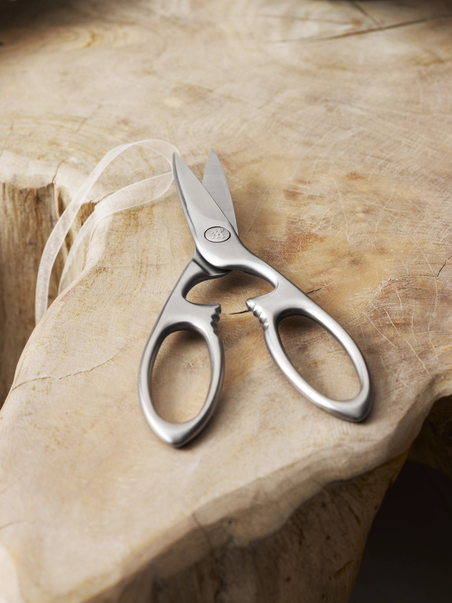 Twin Select Vielzweckschere von Zwilling Kitchen, 200mm, aus langlebigem, mattem Stahl, perfekt für präzise Schneidarbeiten in der Küche.