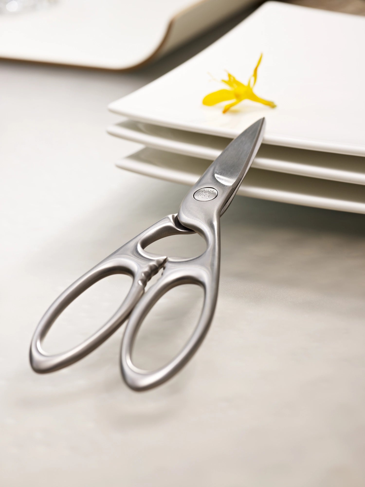 Twin Select Vielzweckschere von Zwilling Kitchen, 200mm, aus langlebigem, mattem Stahl – perfekt für präzises Schneiden in der Küche.