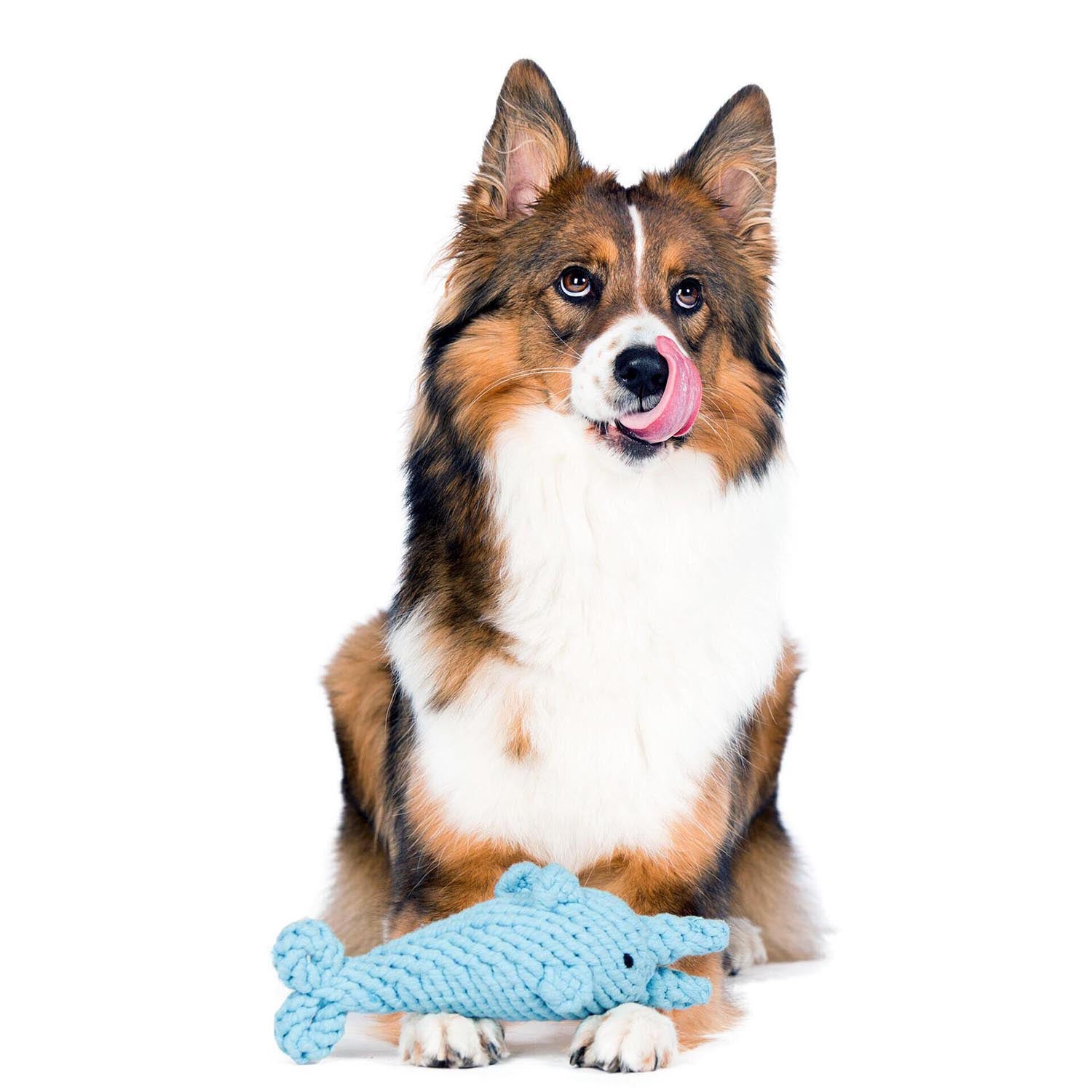 Der LABONI Didi Delfin ist ein robustes und sicheres Hundespielzeug aus Baumwolle, das für stundenlangen Spielspaß sorgt und leicht zu reinigen ist.