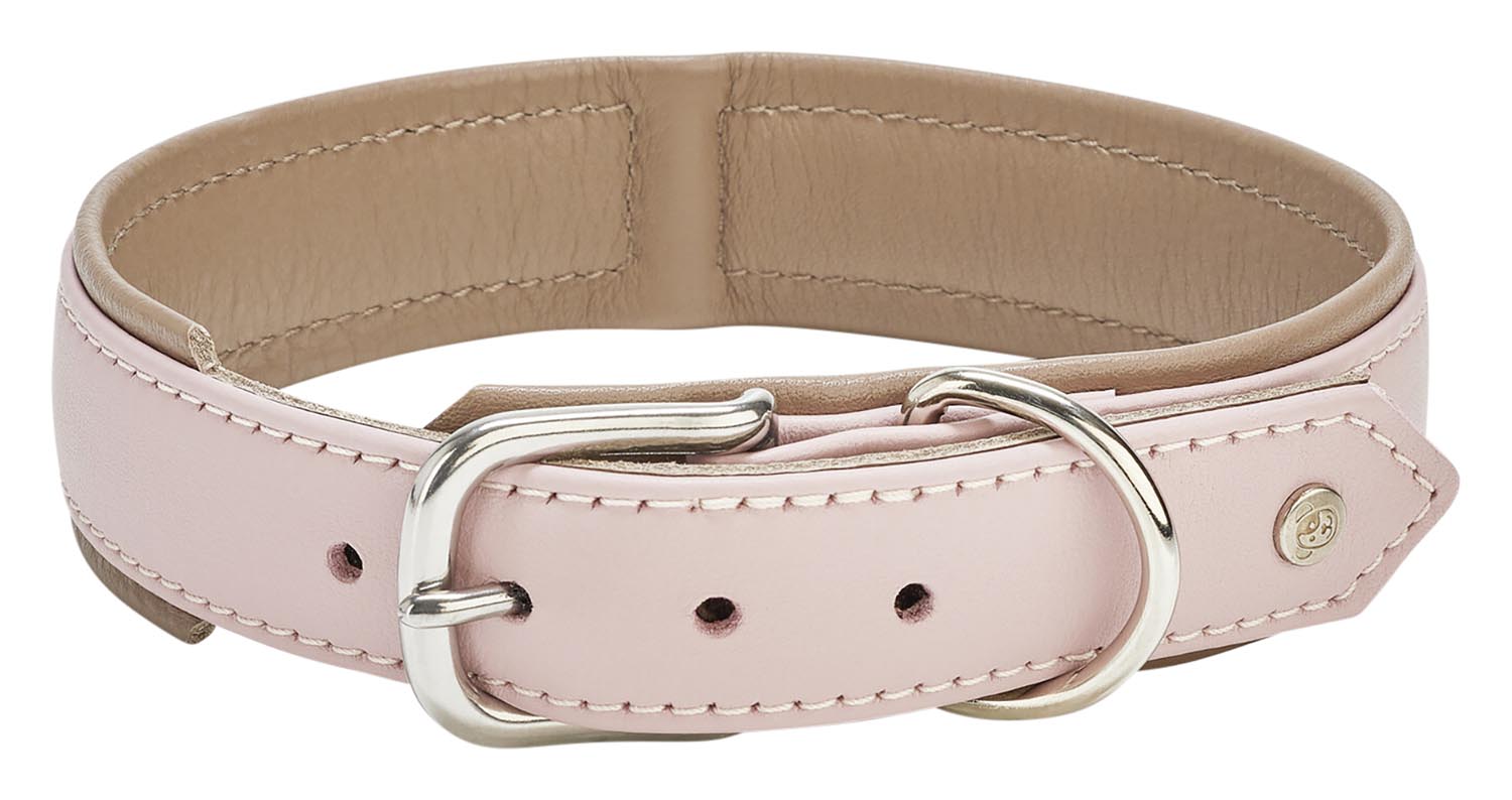 Erleben Sie das elegante LABONI Halsband Nappa Amici Cognac M, aus feinstem Nappaleder. Perfekt für stilbewusste Hundebesitzer und deren mittelgroße Hunde.