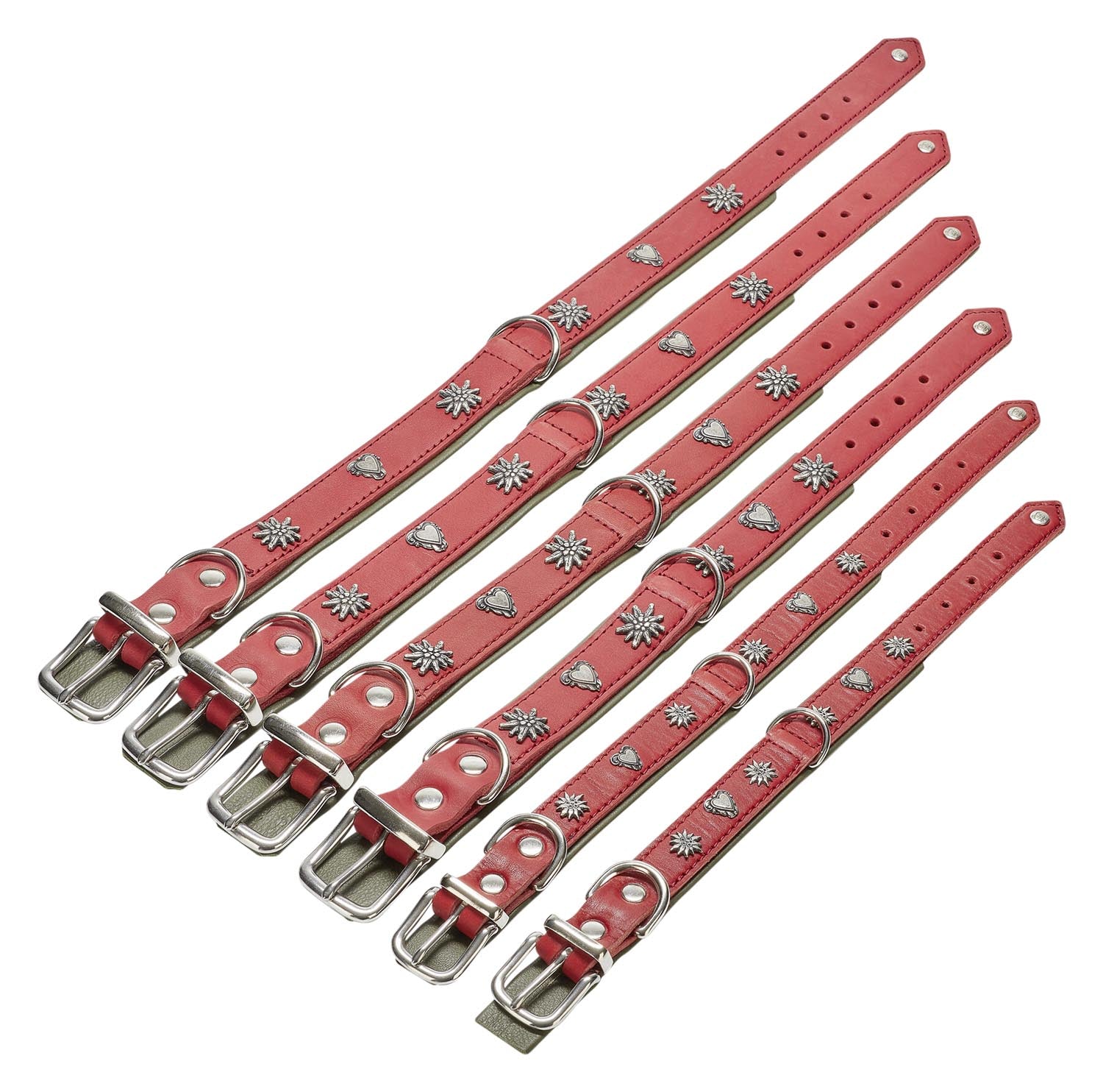 Entdecken Sie das LABONI Halsband Edelweiss XS in rot-grün: Hochwertig, bequem und wasserabweisend. Ideal für kleine Hunde und stilvolle Abenteuer!