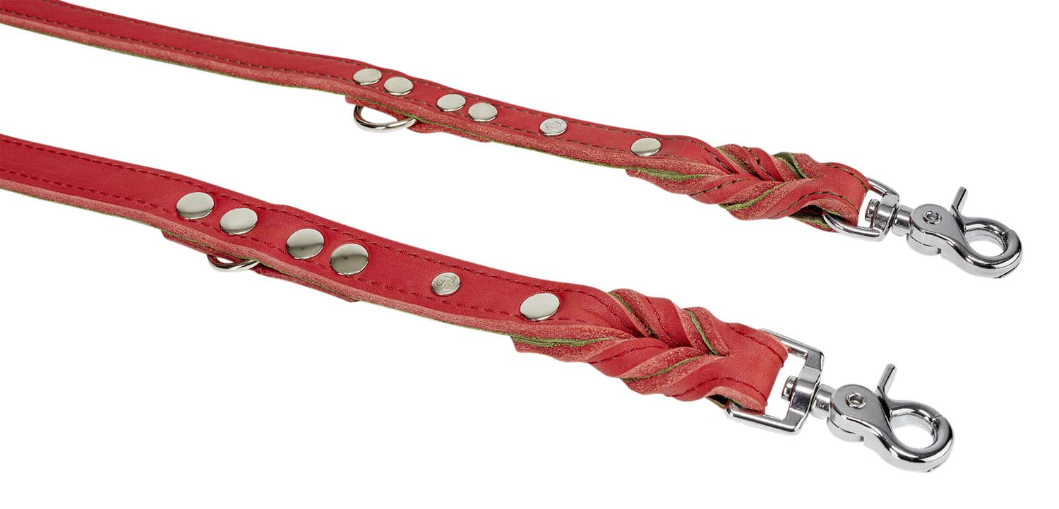 Entdecken Sie die LABONI Fettleder Leine Edelweiss in rot-grün S – robust, komfortabel und perfekt für kleine Hunde! Ein stilvolles Must-Have!