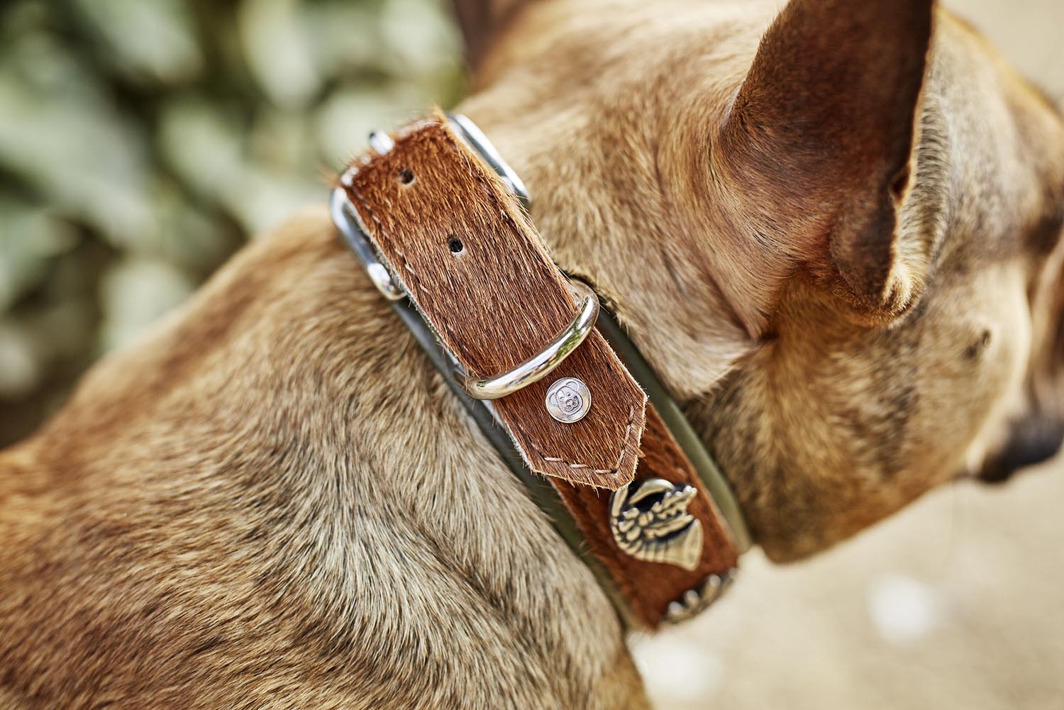 Erleben Sie das LABONI Halsband Bavaria XS in braun-grün – robust, bequem und perfekt für kleine Hunderassen. Ein modisches Highlight für Ihren Hund!