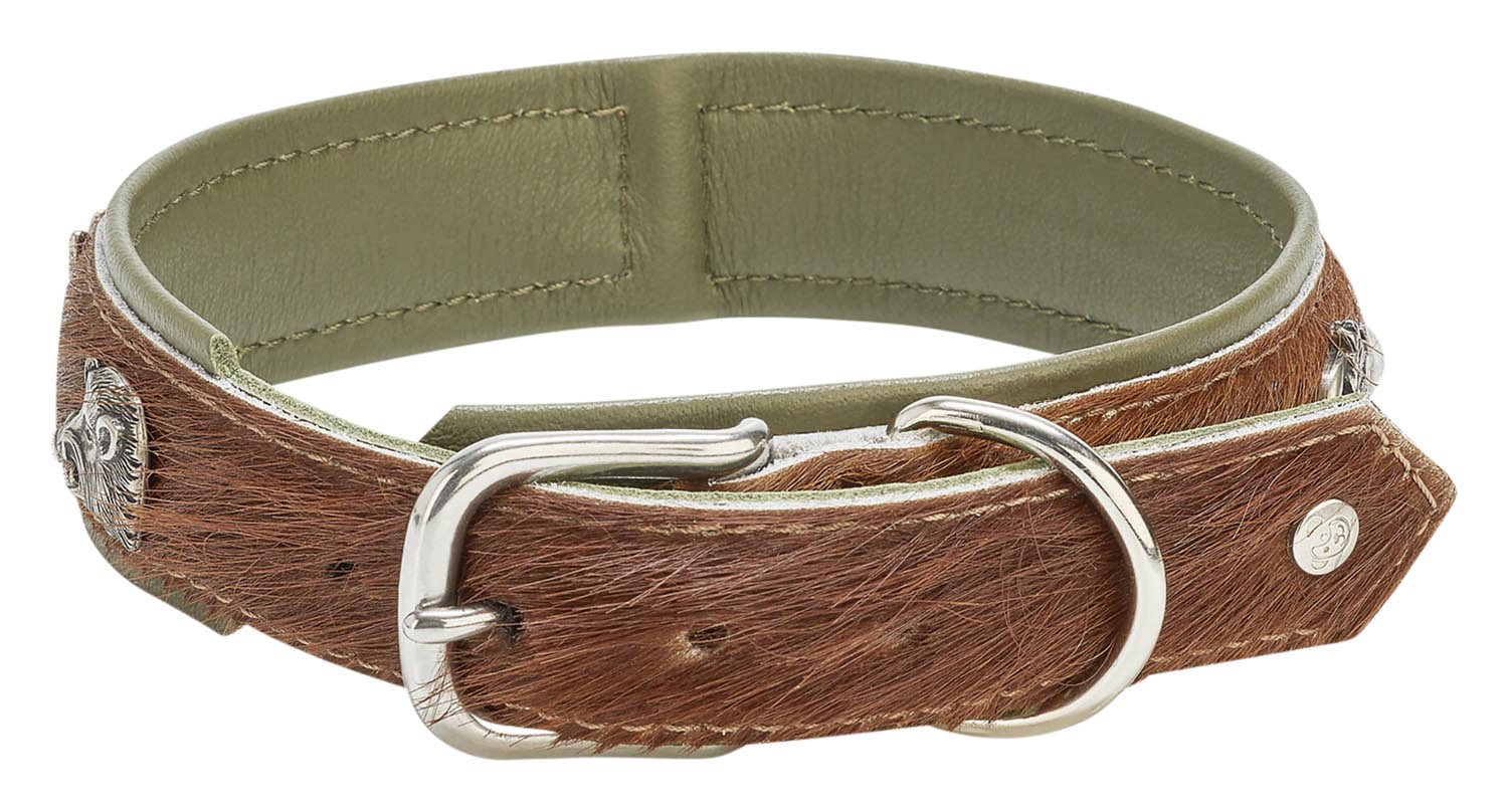 Entdecken Sie das LABONI Halsband Bavaria braun-grün M – handgefertigt aus robustem Leder, stilvoll, langlebig und ideal für modebewusste Hunde.