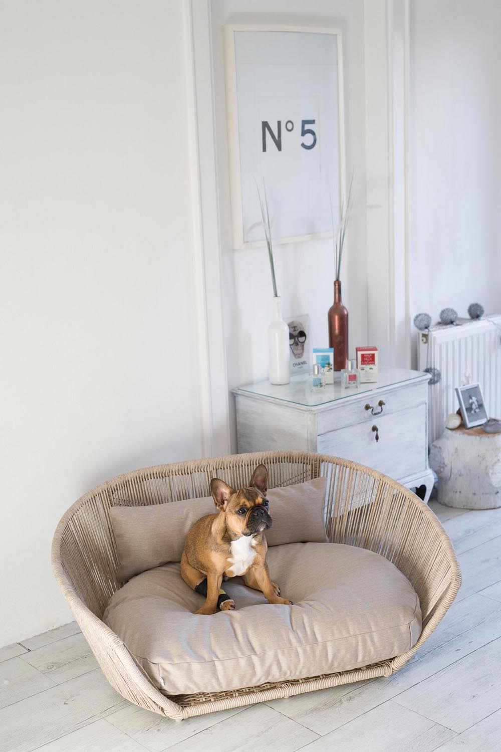 Erleben Sie das Laboni Vogue SMOOTH Hundebett – eine harmonische Verbindung von modernem Design und orthopädischer Unterstützung für Ihren Hund.