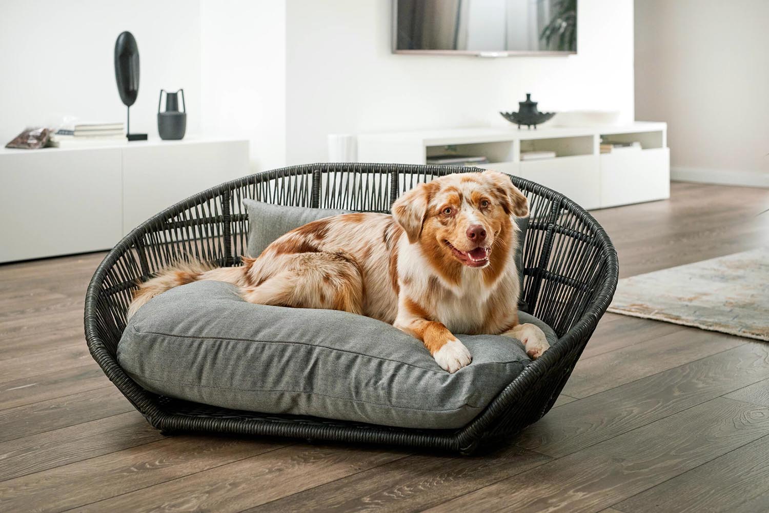 Erleben Sie das LABONI Prado SMOOTH Hundebett in Black Silk – eine elegante, orthopädische Schlaflösung für Ihren Hund, die Komfort und Stil vereint.