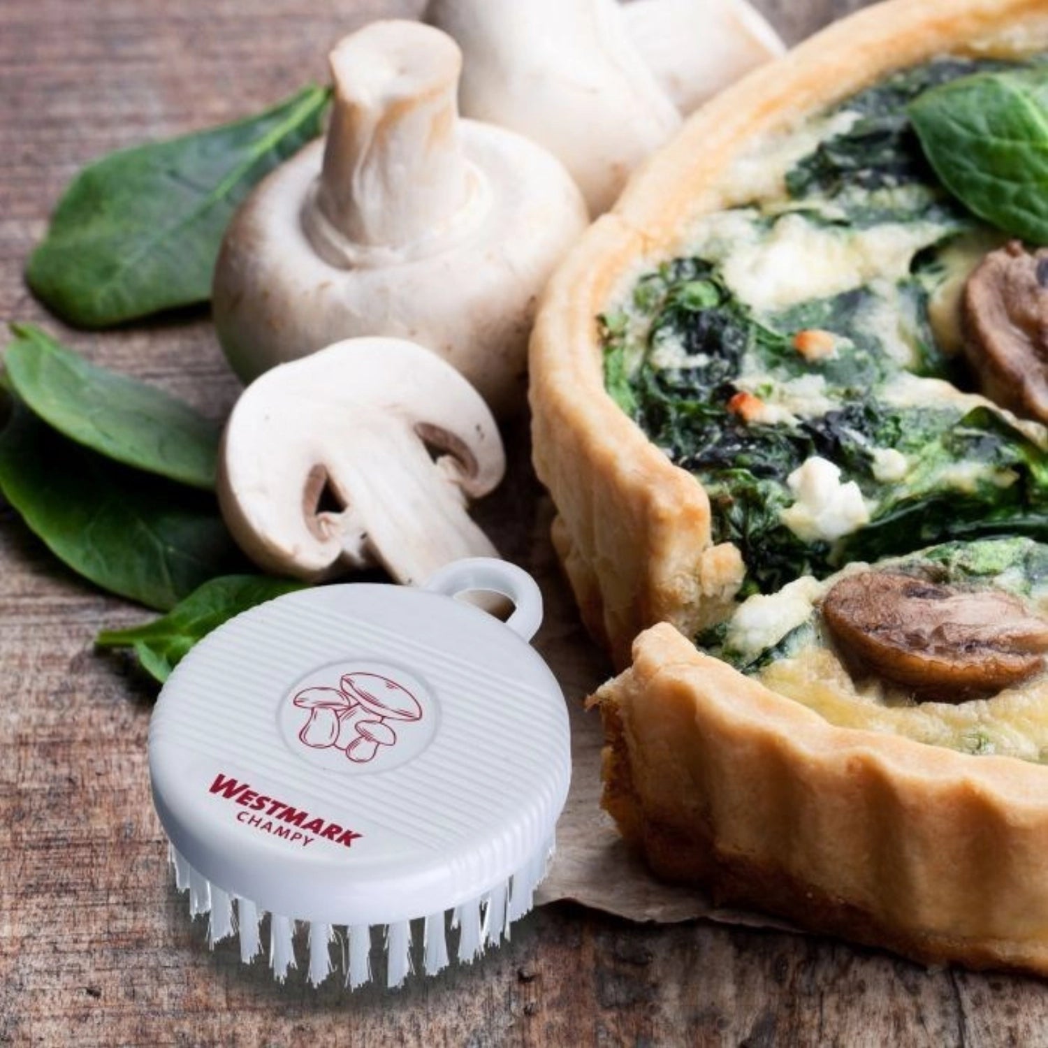 Pilz- u. Gemüse-Reininungsbürste Champy, 8x6x3cm