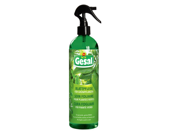 GESAL Blattpflege für Grünpflanzen 500 ml in präsentiert im Onlineshop von KAQTU Design AG. Gartenpflege ist von GESAL