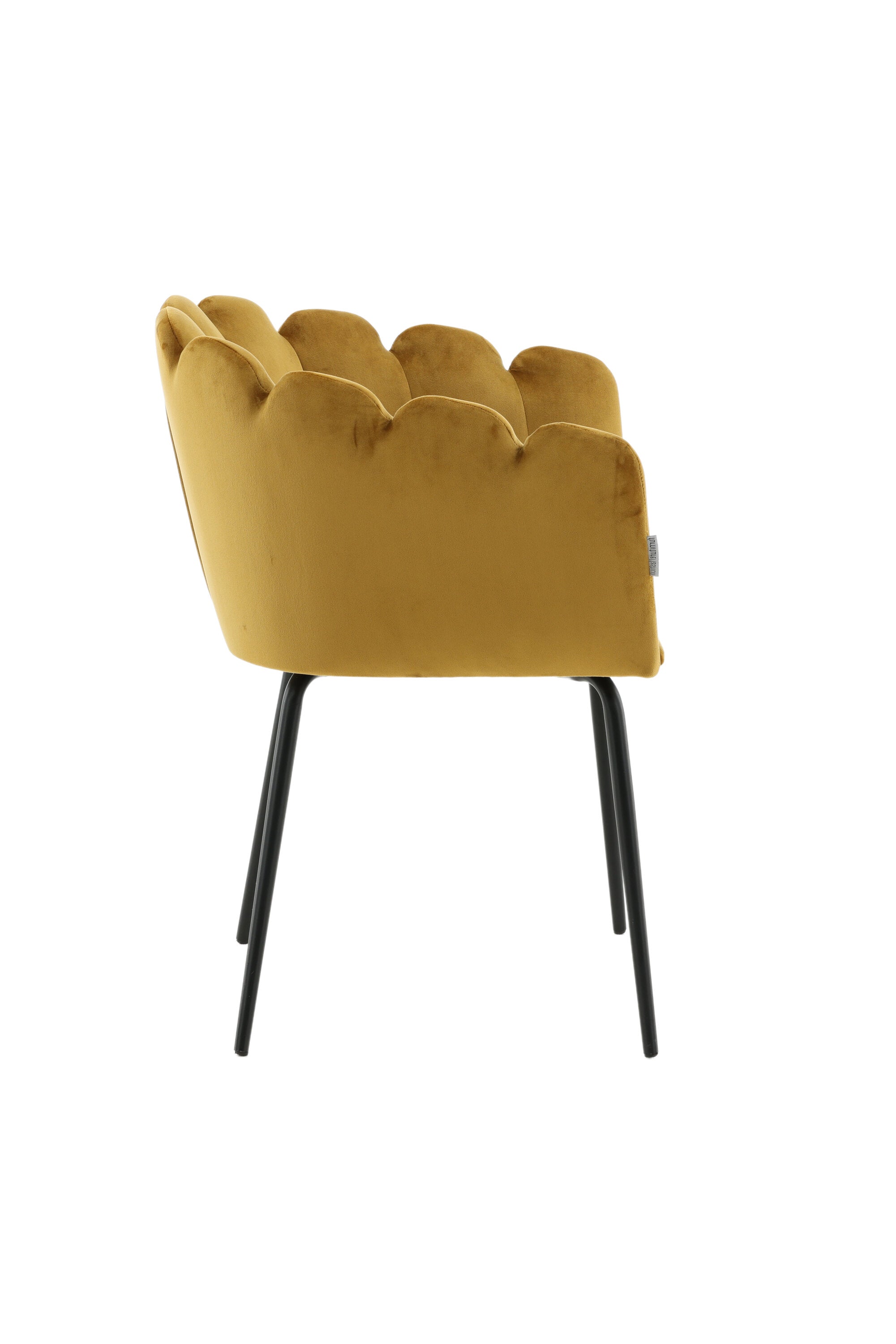Limhamn Stuhl in Gelb präsentiert im Onlineshop von KAQTU Design AG. Schalenstuhl mit Armlehne ist von Furniture Fashion