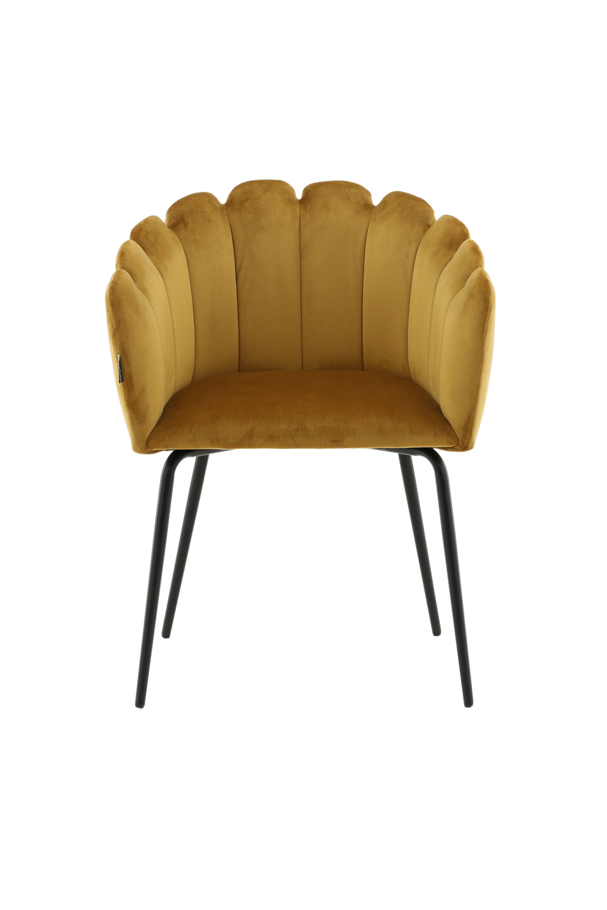 Limhamn Stuhl in Gelb präsentiert im Onlineshop von KAQTU Design AG. Schalenstuhl mit Armlehne ist von Furniture Fashion