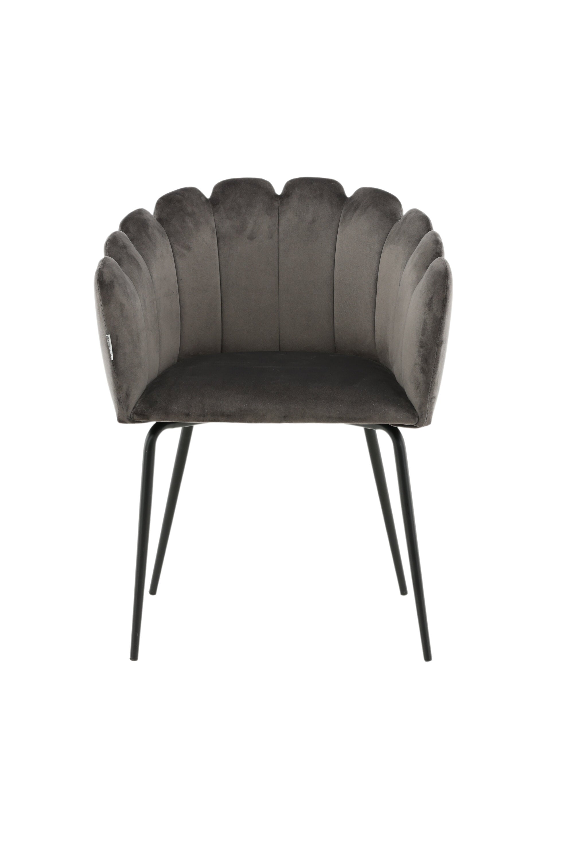 Limhamn Stuhl in Grau präsentiert im Onlineshop von KAQTU Design AG. Schalenstuhl mit Armlehne ist von Furniture Fashion