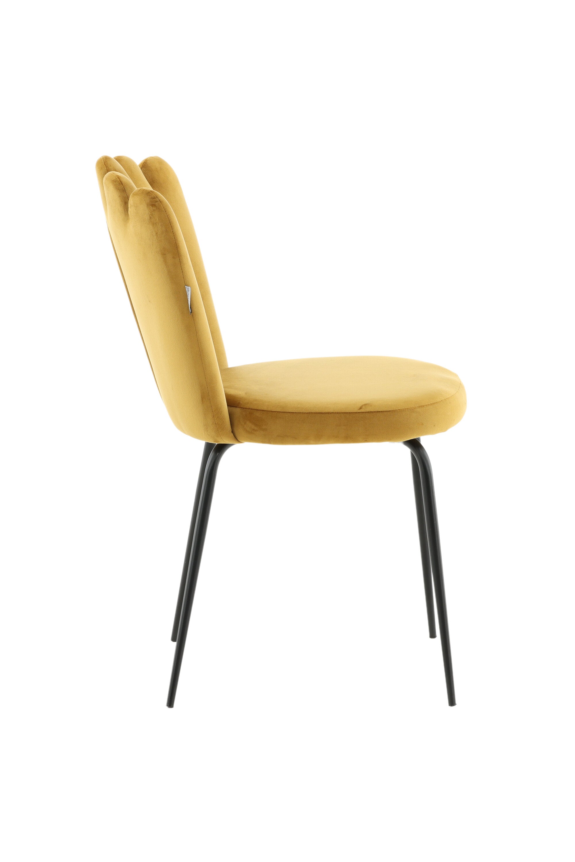 Limhamn Stuhl in Gelb präsentiert im Onlineshop von KAQTU Design AG. Stuhl ist von Furniture Fashion