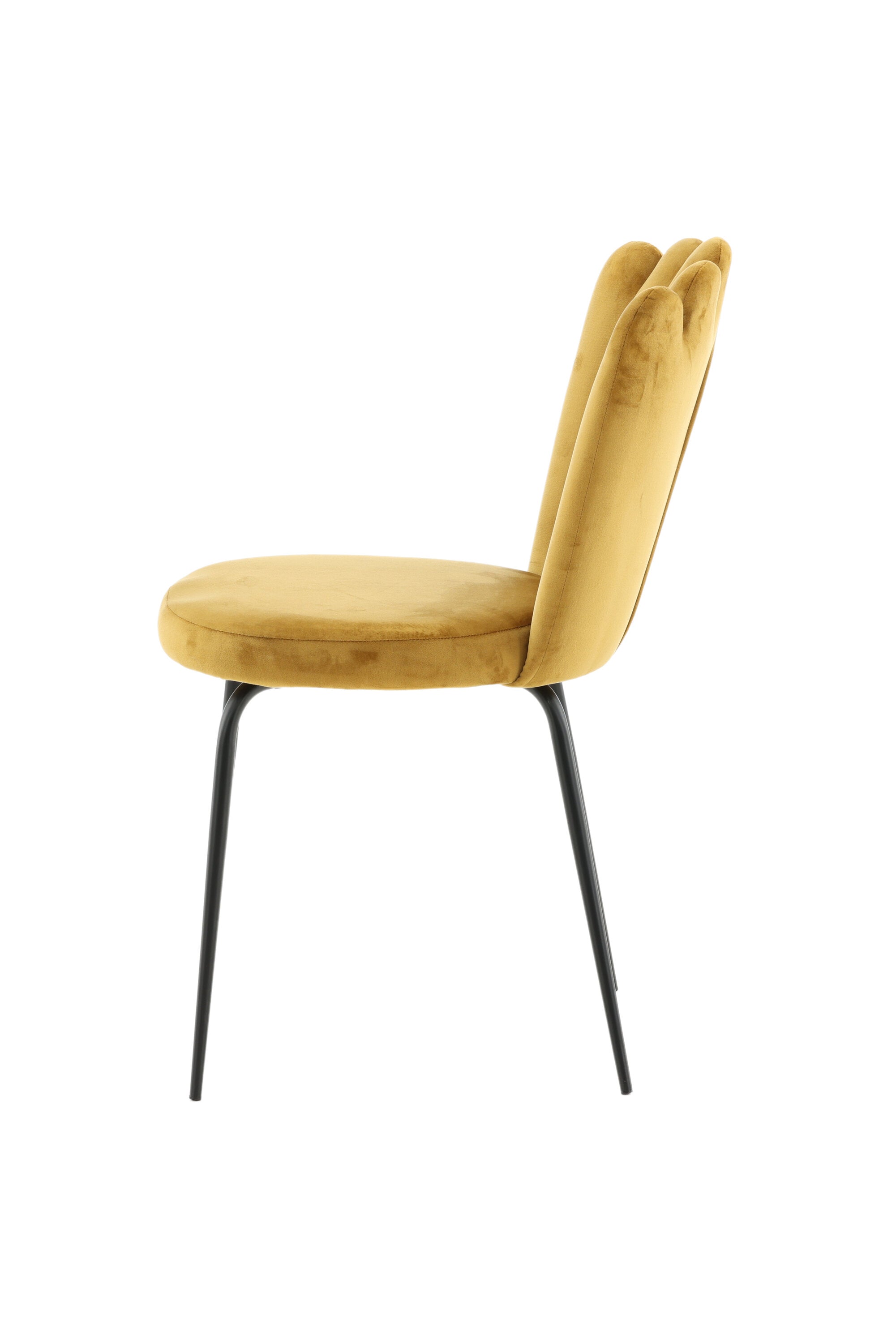 Limhamn Stuhl in Gelb präsentiert im Onlineshop von KAQTU Design AG. Stuhl ist von Furniture Fashion