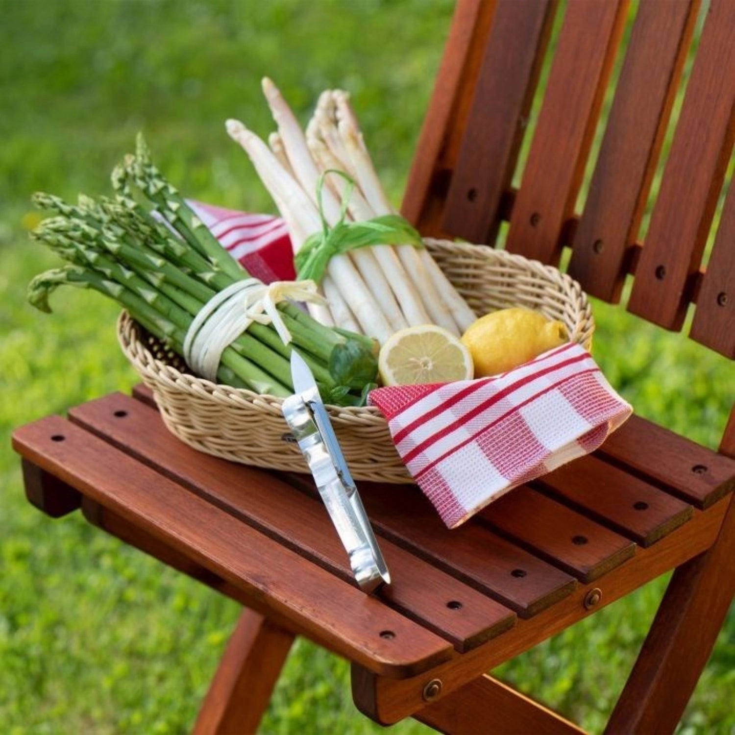 Éplucheur d'asperges et de légumes Asperago, 17x5,5x1,5cm