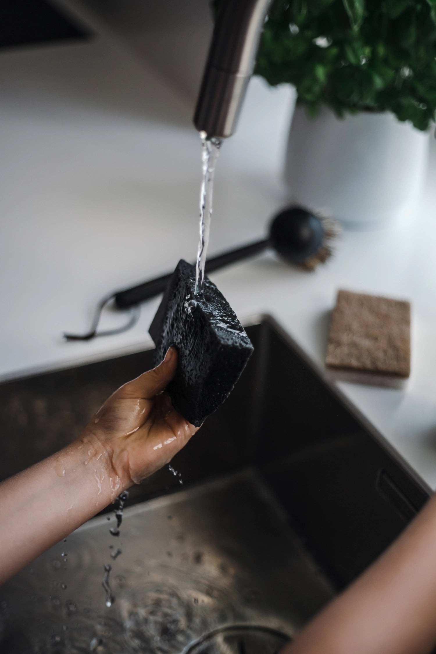 Erlebe den innovativen 2er Set Pop-Up Schwamm von Nordesign – nachhaltig, funktional und perfekt für alle Reinigungsbedürfnisse in deinem Zuhause.