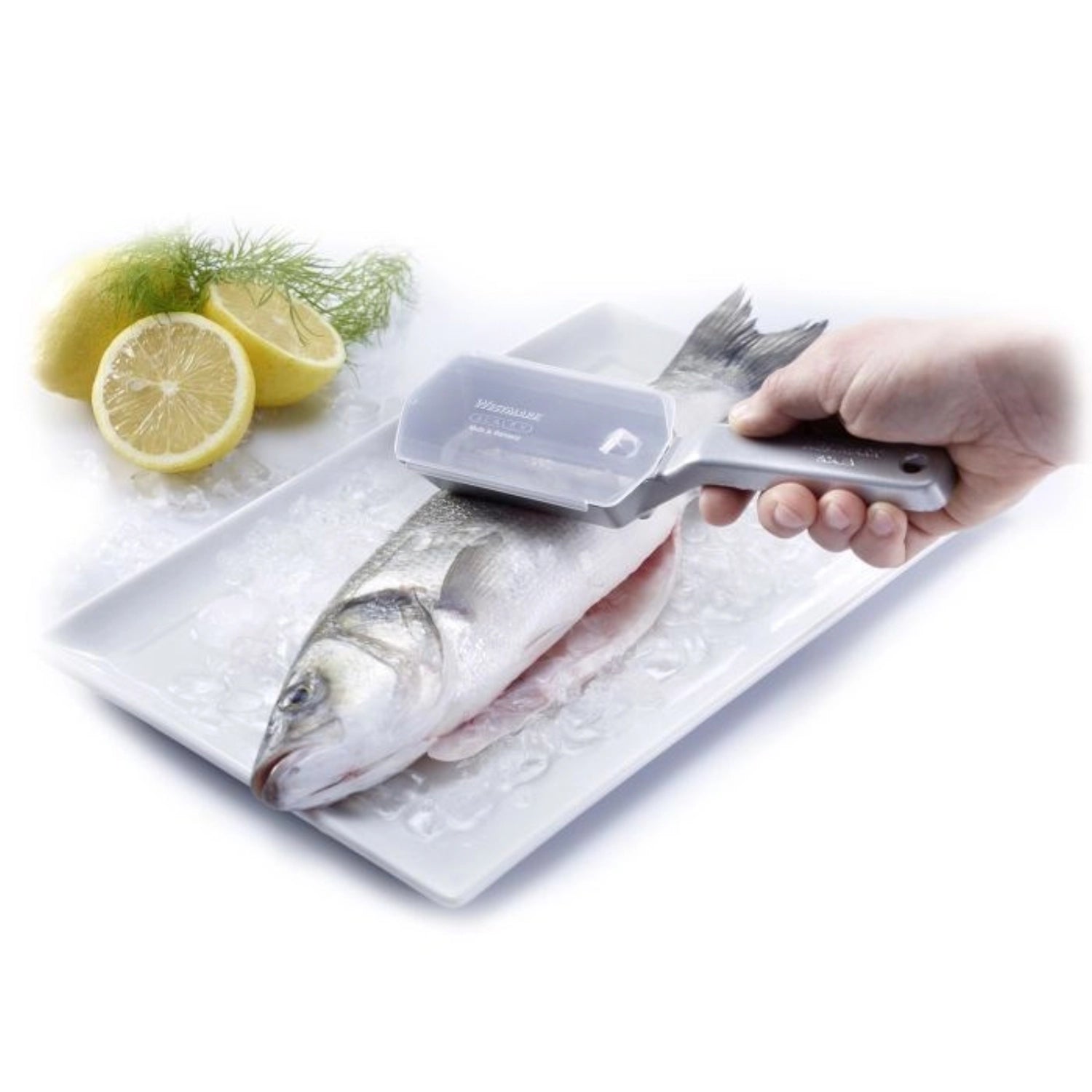 Praktischer Fischentschupper Scalex von Westmark, 20.5x6x3.7cm, ideal zum mühelosen Entfernen von Fischschuppen in der Küche.