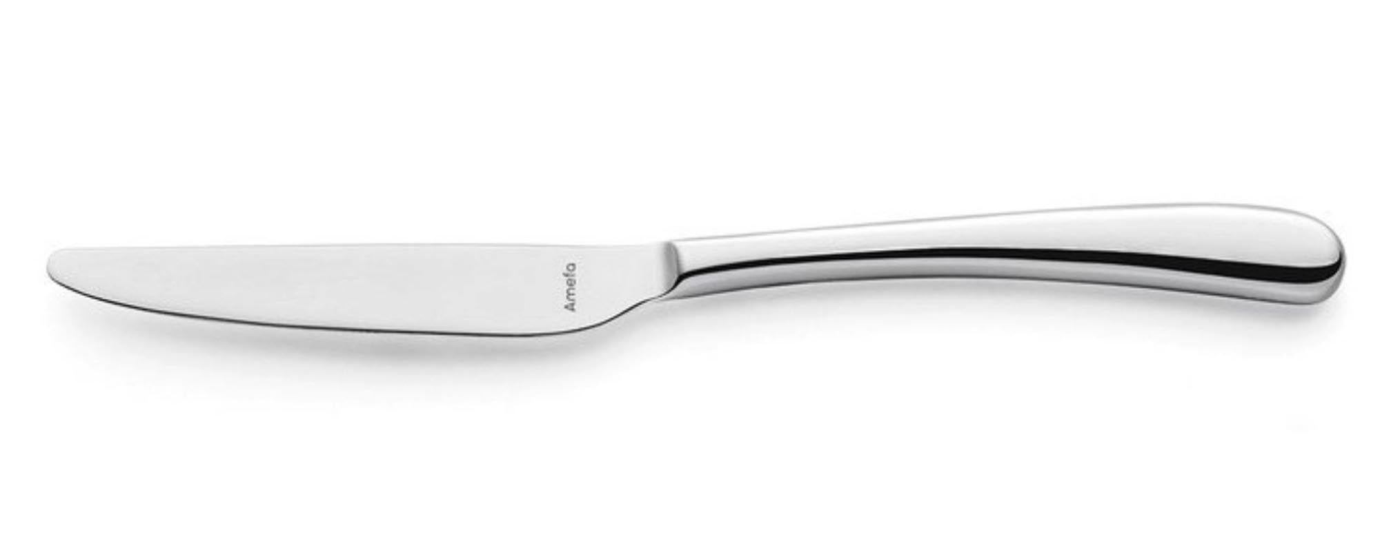 Entdecken Sie das hochglänzende Newton Menümesser Mono rfr. von Amefa – elegantes Design, langlebiger Edelstahl, ideal für jeden Anlass.