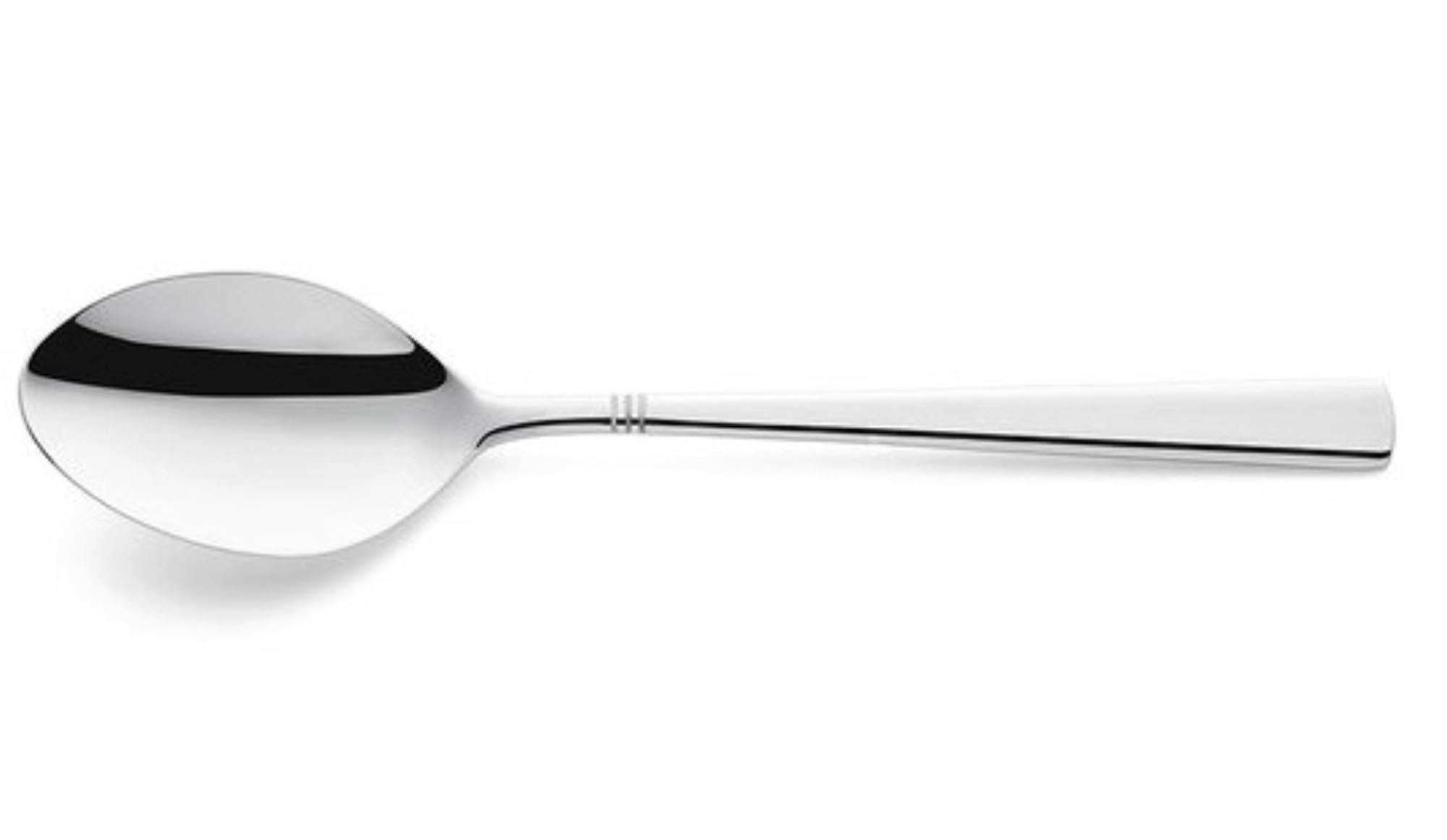 Entdecken Sie die eleganten Palmon Dessertlöffel von Amefa aus hochwertigem 18/10 Edelstahl. Hochglänzend, langlebig und perfekt für Desserts!