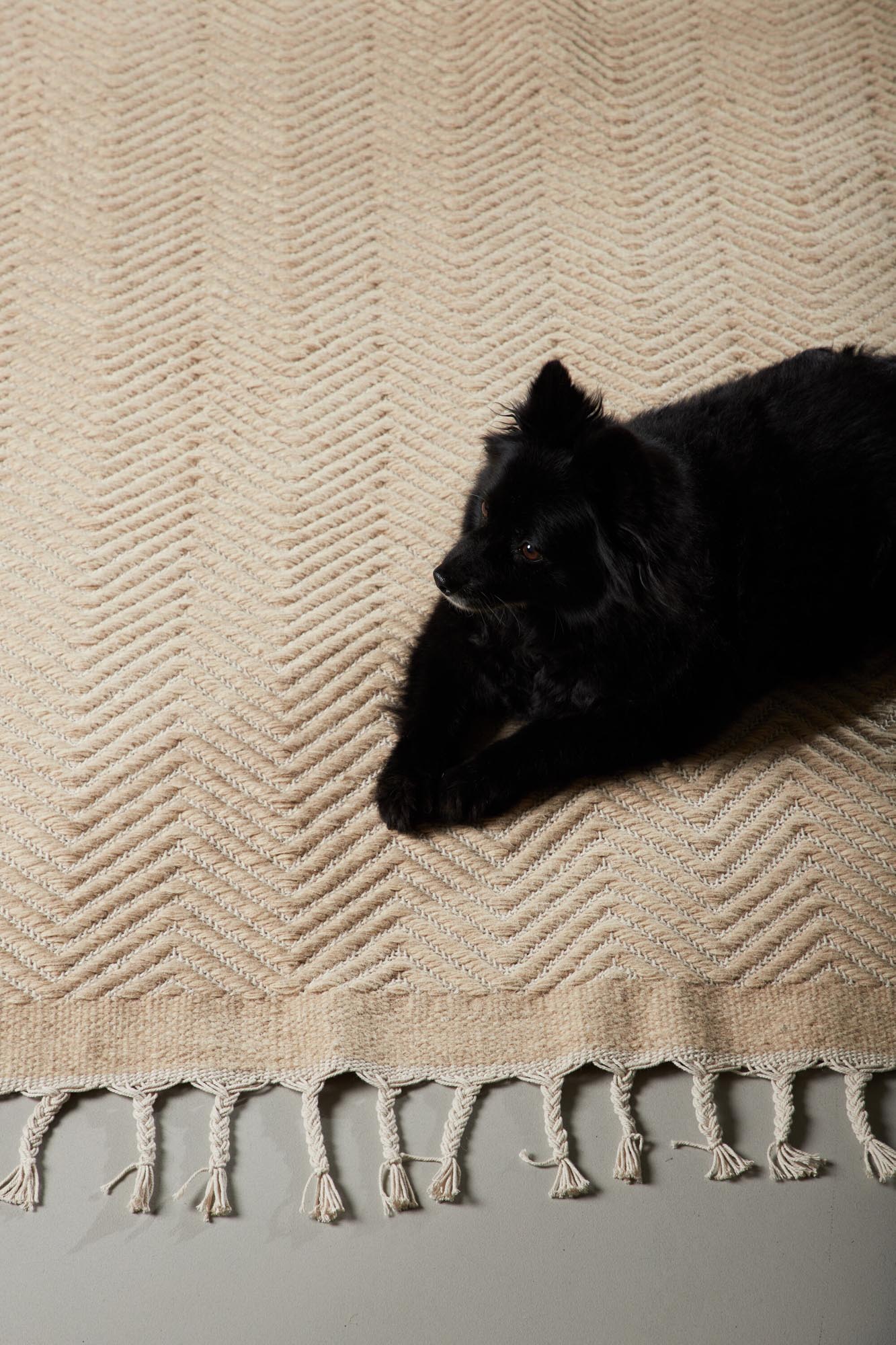 Entdecken Sie den Loke Teppich von Venture Home: Strapazierfähig, stilvoll und perfekt für jeden Raum. Harmonische Farben und handgefertigte Fransen.