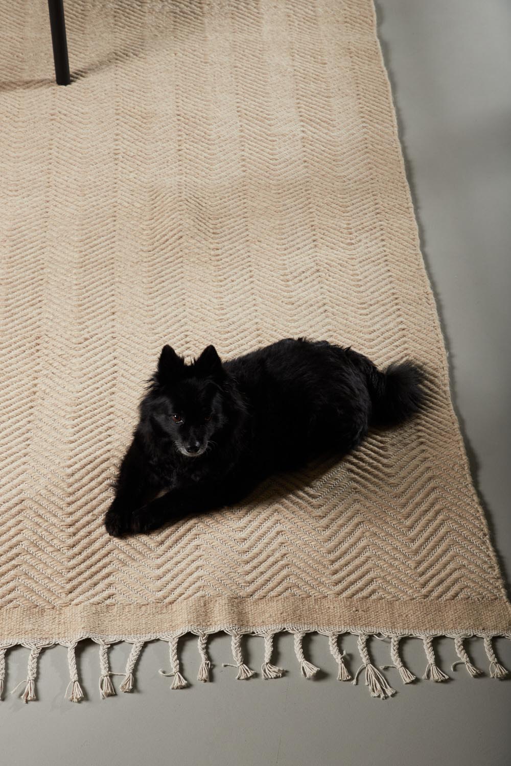 Loke Teppich in Beige präsentiert im Onlineshop von KAQTU Design AG. Teppich ist von Venture Home