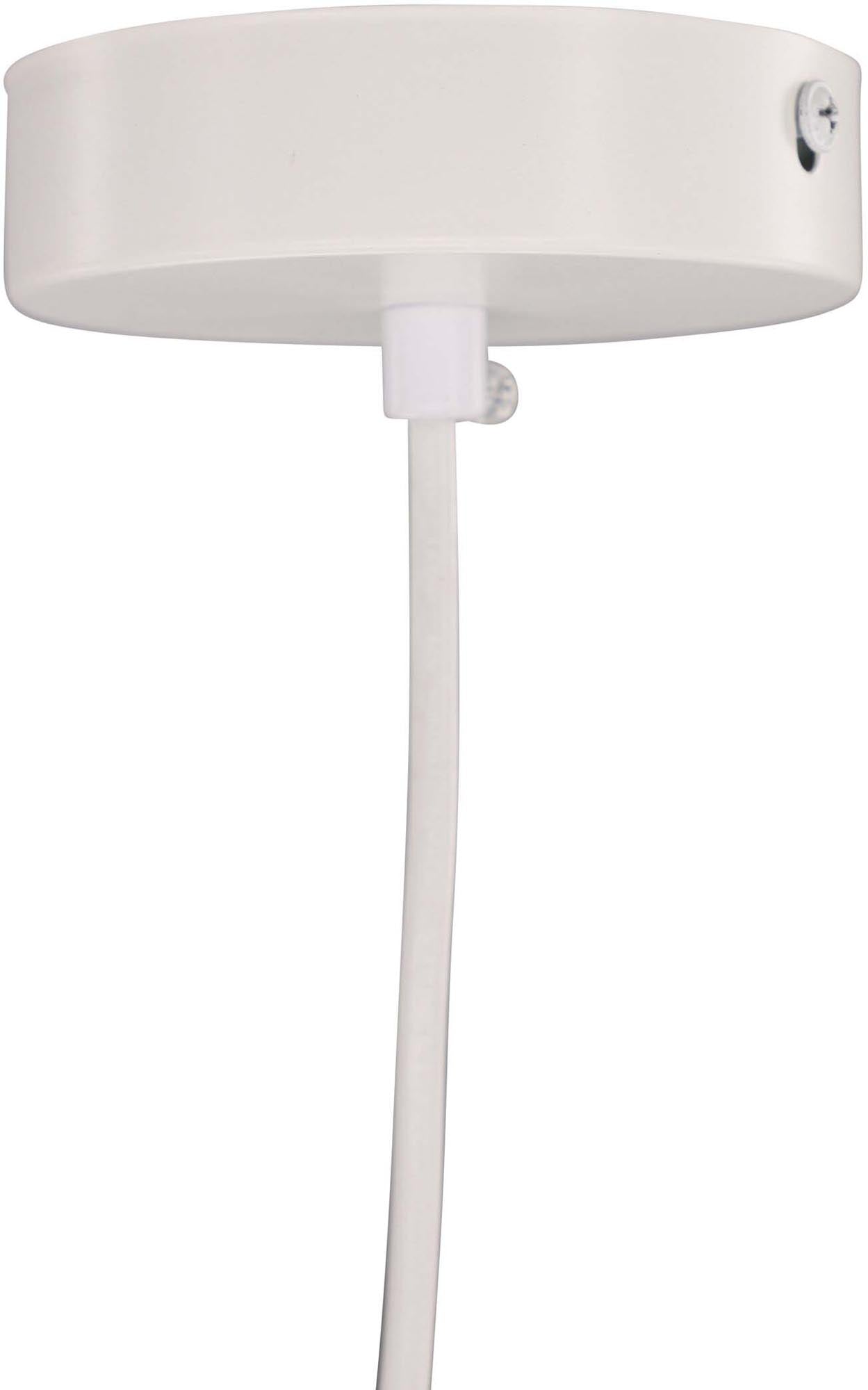 Touren Pendelleuchte von Venture Home für zeitlose Eleganz.