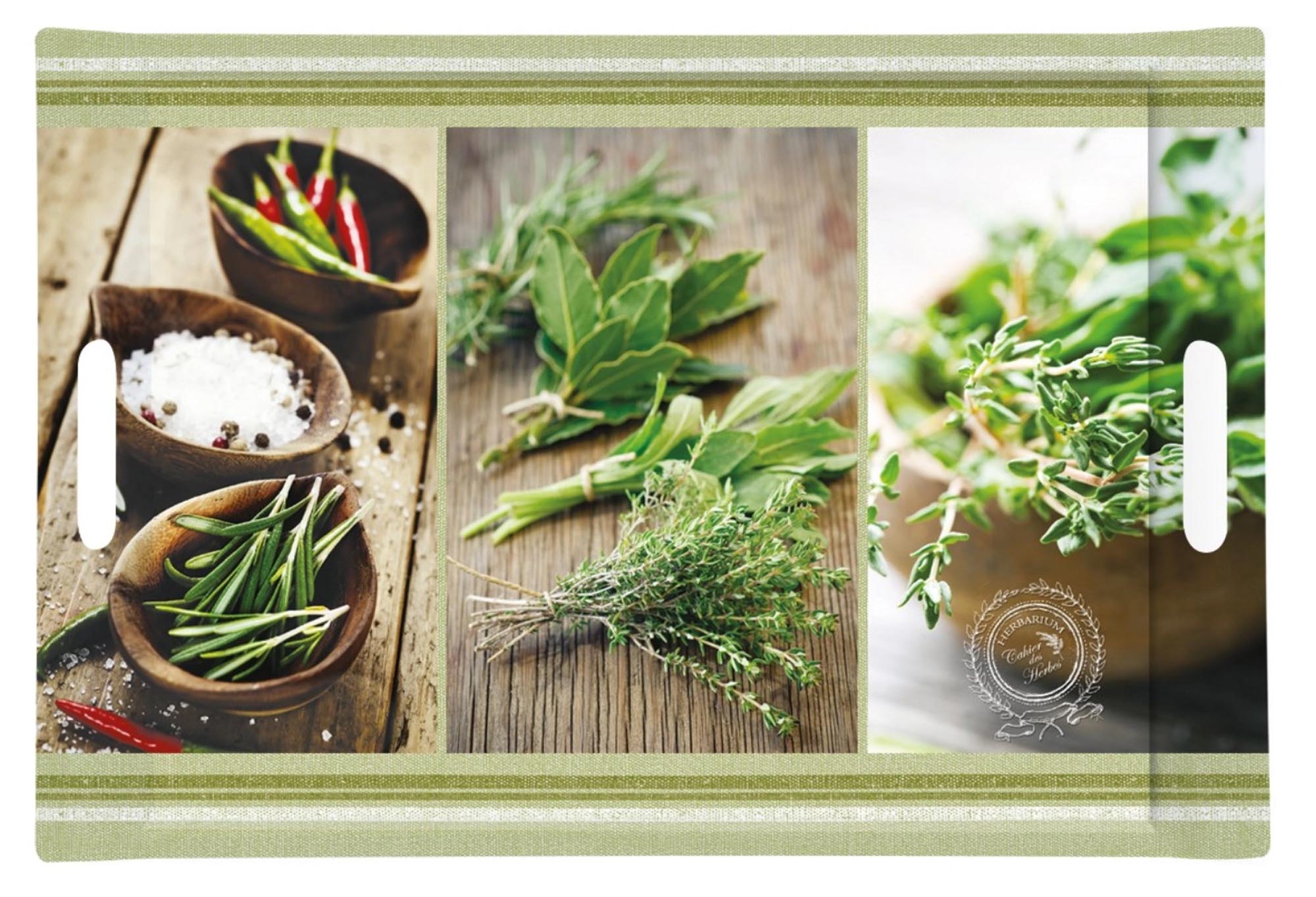 Entdecken Sie das stilvolle Kitchen Herbs Tablett von Easy Life (49x34 cm) – ideal für Küchenutensilien, Snacks und als Geschenk für Kochliebhaber.