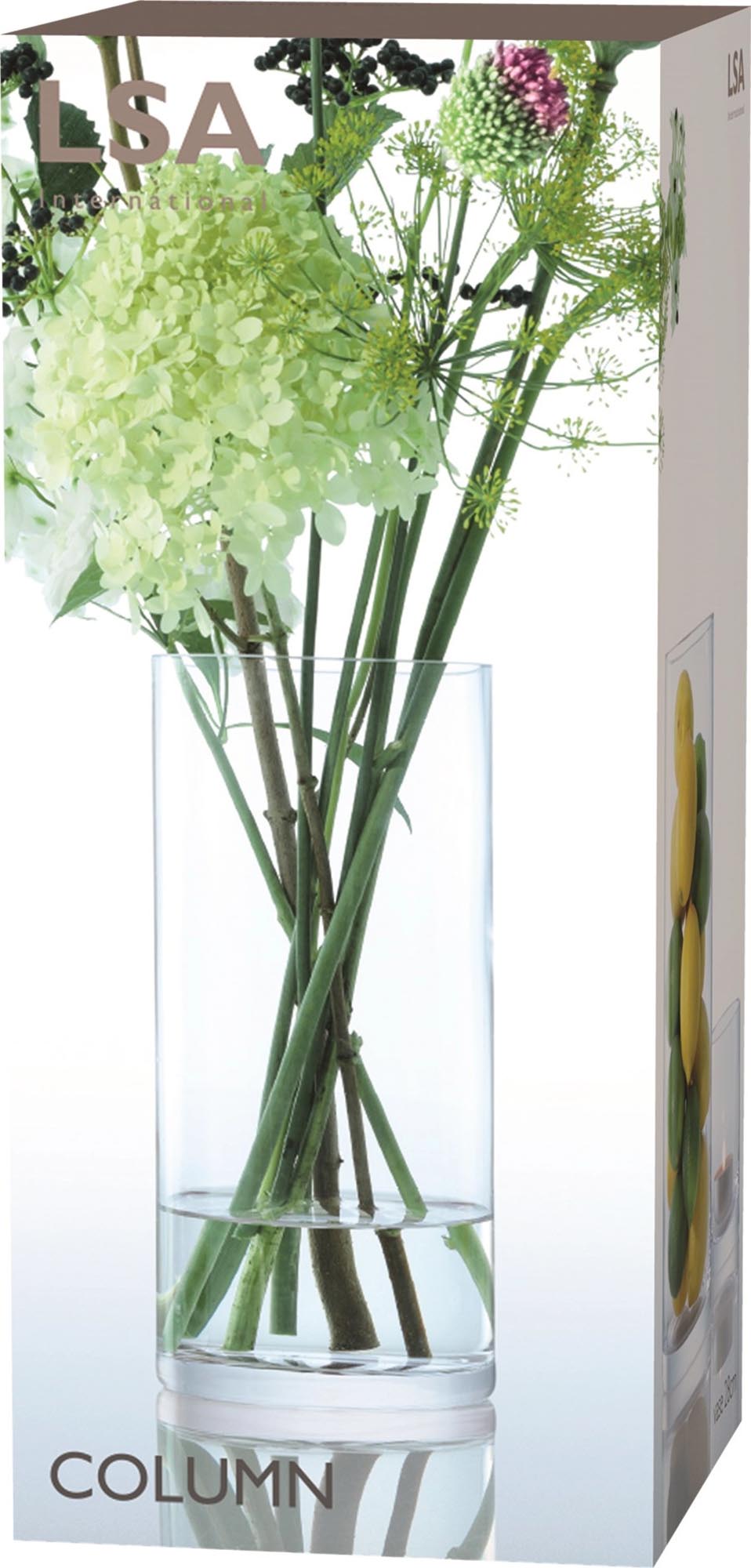 Stilvolle Column Vase von LSA International, 28 cm hoch, aus klarem Glas. Perfekt für kreative Blumenarrangements und moderne Dekoration.