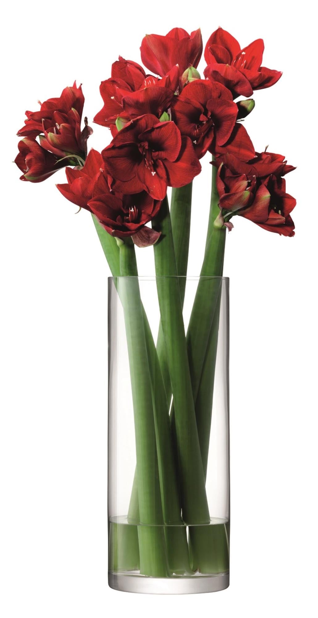 Entdecken Sie die Column Giant Vase von LSA: Ein elegantes Glasobjekt, das große Blumenarrangements perfekt zur Geltung bringt.