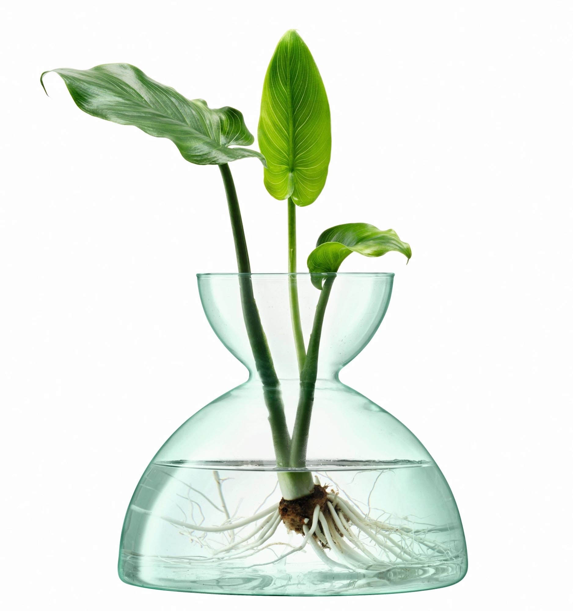 Nachhaltige LSA Canopy Vase 9,5 cm aus recyceltem Glas, modern designt.