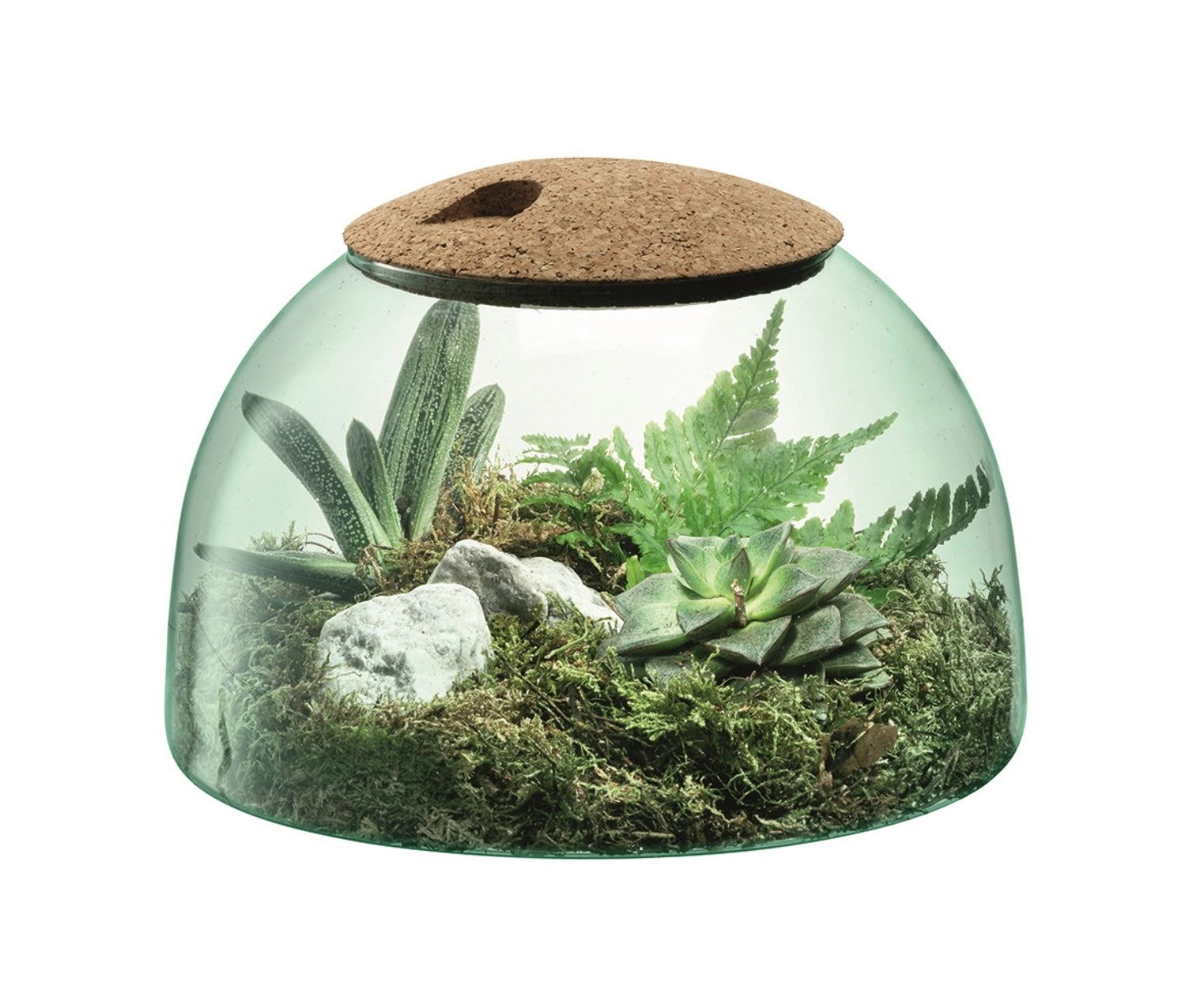Canopy Enclosed Garden H16.5cm - recy. optics